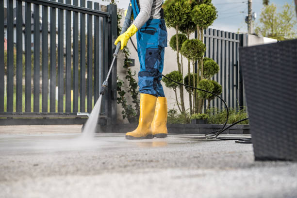 Best Affordable Power Washing  in Rose Hill, VA